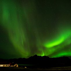 Polarlichter über einer Farm
