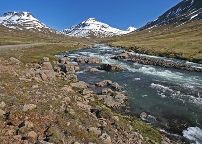 Mjóafjarðarheiði - Ost-Island
