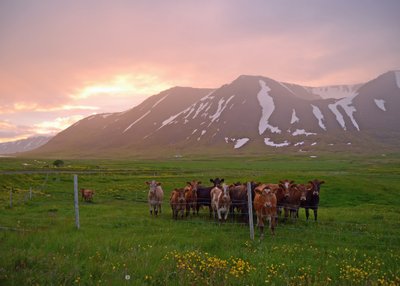 Önundarfjorður - Westfjorde