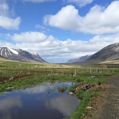 Hóll - Westfjorde
