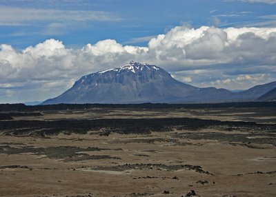 Herðubreið - Zentrales Hochland