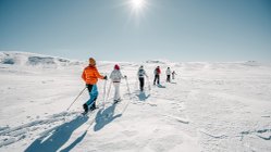 Wandergruppe auf Schneeschuhen in Winterlandschaft