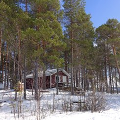 Hütte auf verschneiter einsamer Insel in Schwedisch-Lappland