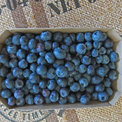 Blaubeeren