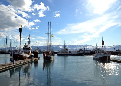 Húsavík - Myvatn-Region