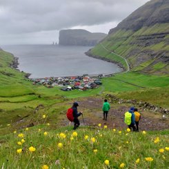 Eine Wandergruppe steigt hinunter in den Ort Tjörnuvik