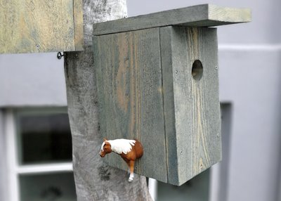 Streetart - Reykjavik