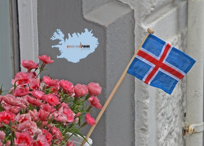 Islandfahne - Reykjavík