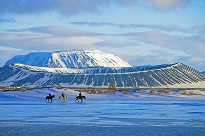 Drei Reiter auf Islandpferden am Myvatn in Island. 
