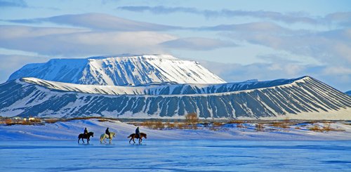 Drei Reiter auf Islandpferden am Myvatn in Island. 