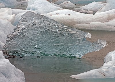 Eisberg - Südost-Island