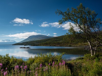 Seenlandschaft im Abisko-Nationalpark