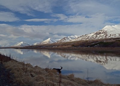 Akureyri - Nord-Island