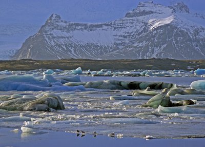 Jökulsárlón - Südost-Island