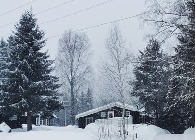 Haus im Winterwald in Skandinavien