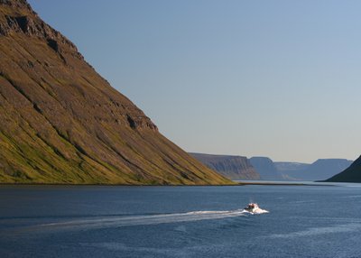 Hornstrandir - Westfjorde