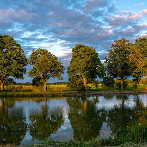 Baumgruppe an Göta-Kanal in Schweden