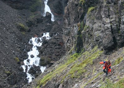 Alftafjörður - Westfjorde