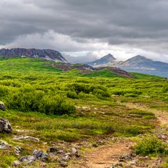 Die Lavalandschaft Eldborgarhraun im Westen Islands