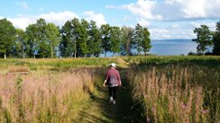 Wandern am Vätternsee in Småland