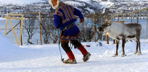 Ein Sami in traditioneller Kleidung führt ein Rentier durch den Schnee