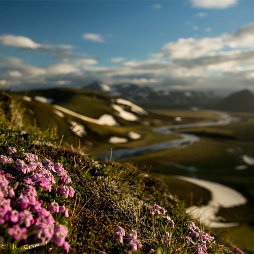 Landmannahellir - Zentrales-Hochland