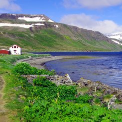 Hesteyri - Westfjorde
