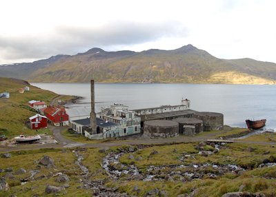 Djupavik - Westfjorde