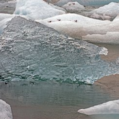 Eisberg - Südost-Island