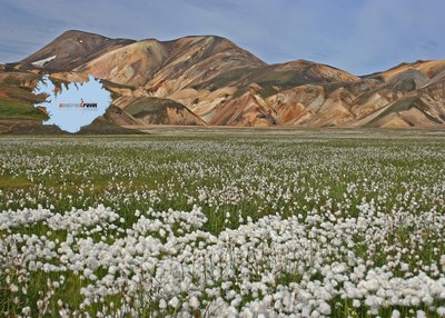 Landmannalaugar - Südliches Hochland