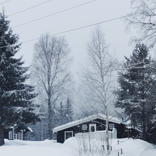 Haus im Winterwald in Skandinavien