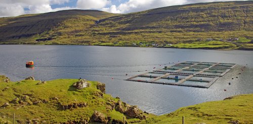 Fischfarm - Färöer-Inseln