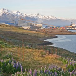 Mjóeyrarhöfn - Ost-Island