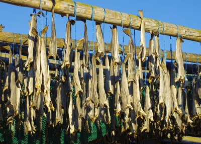 Trockenfisch - Island