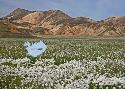Námskvisl - Süd-Island