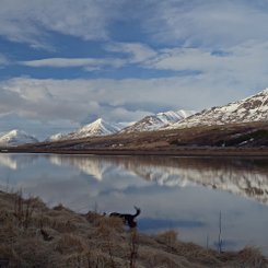 Akureyri - Nord-Island
