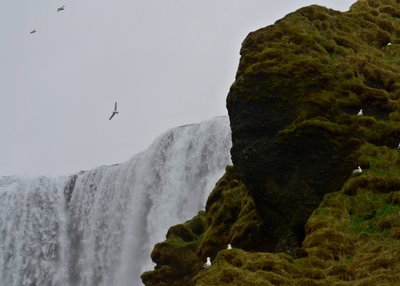 Skogafoss - Süd-Island
