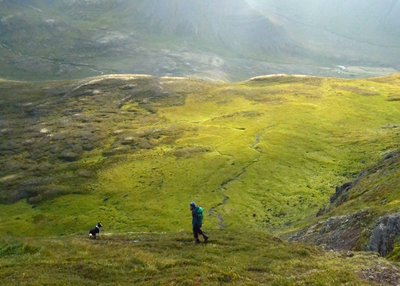 Westfjorde - Island