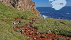 Langanes - Nordost-Island