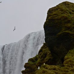 Skogafoss - Süd-Island