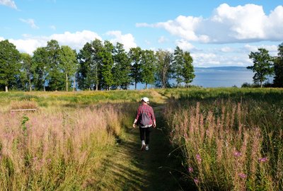 Wandern am Vätternsee in Småland