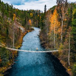 Auf einer Hängebrücke in der Natur. 