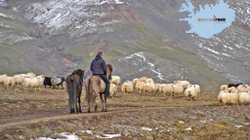 Skagafjörður - Nord-Island
