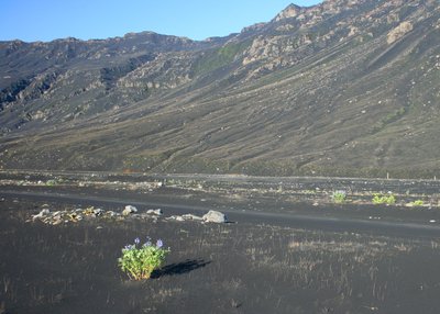 Eyjafjöll - Seljavellir