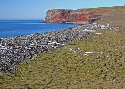 Núpsvík - Nordost-Island