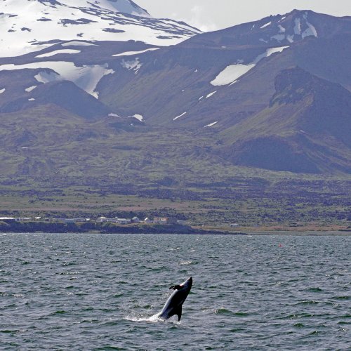 Ólafsvík - West-Island