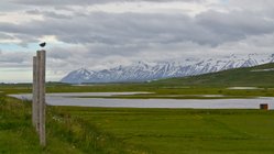 Husabakki - Nord-Island