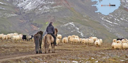Skagafjörður - Nord-Island