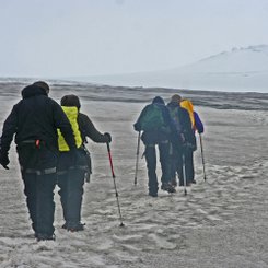 Schneefeld - Süd-Island