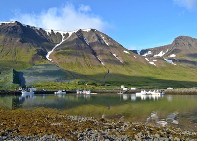 Hafen von Flateyri - Westfjorde